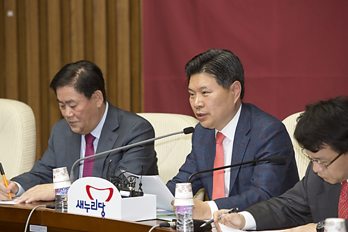 정치/정당/새누리당/원내대책회의