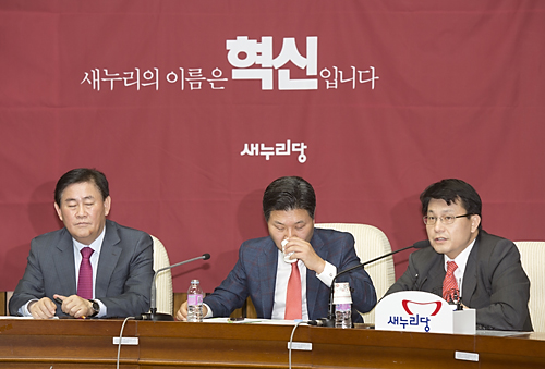 정치/정당/새누리당/원내대책회의
