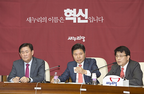 정치/정당/새누리당/원내대책회의