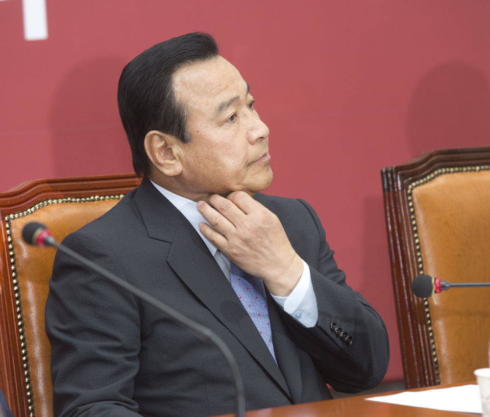 정치/정당/새누리당/비상대책위원회