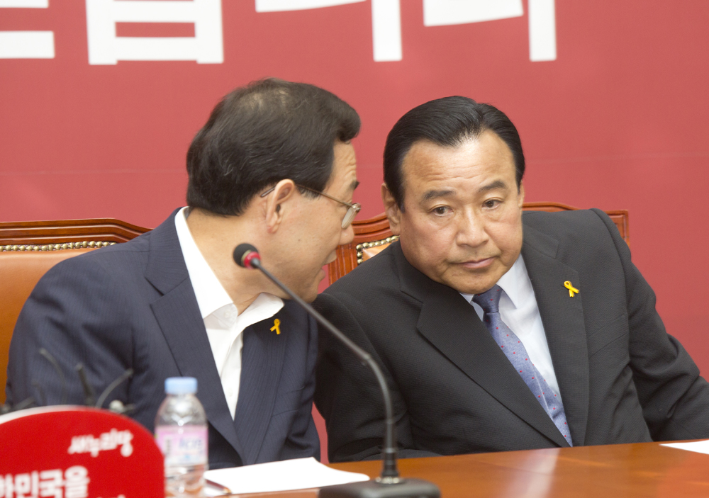 정치/정당/새누리당/비상대책위원회