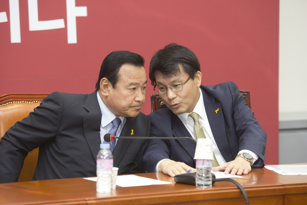 정치/정당/새누리당/비상대책위원회