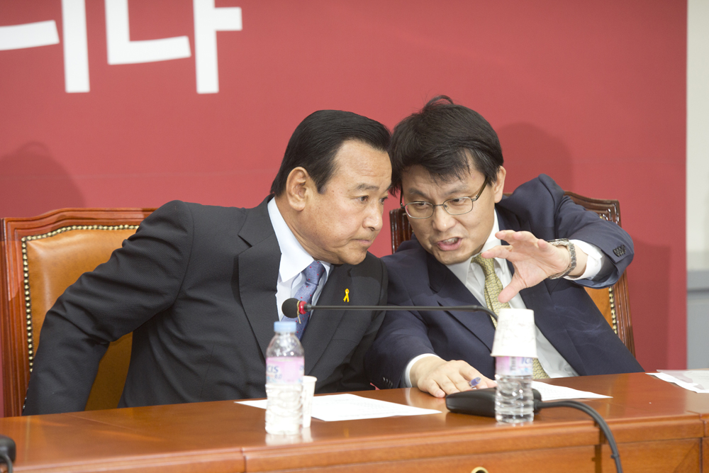 정치/정당/새누리당/비상대책위원회