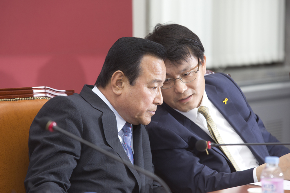 정치/정당/새누리당/비상대책위원회