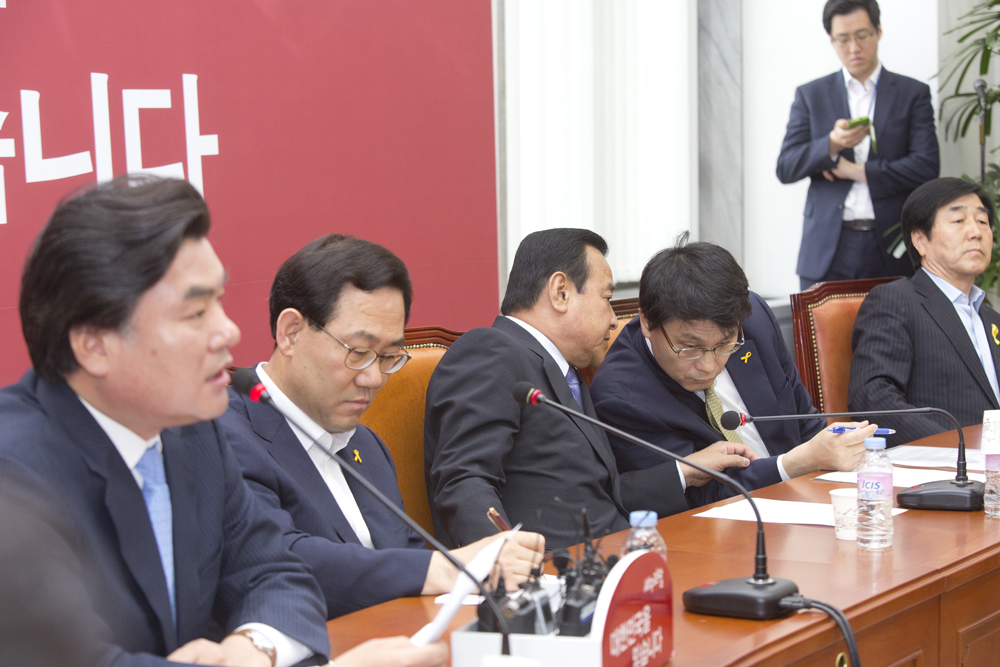 정치/정당/새누리당/비상대책위원회