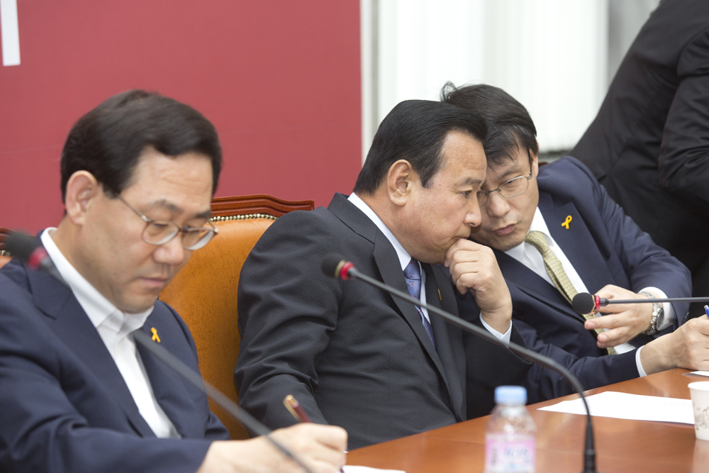 정치/정당/새누리당/비상대책위원회