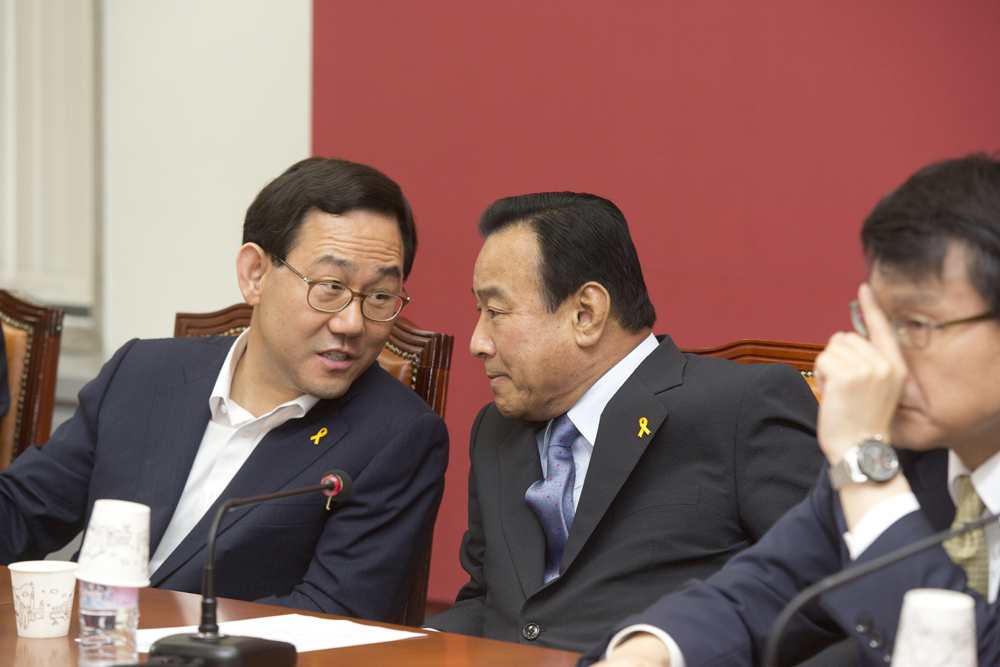 정치/정당/새누리당/비상대책위원회