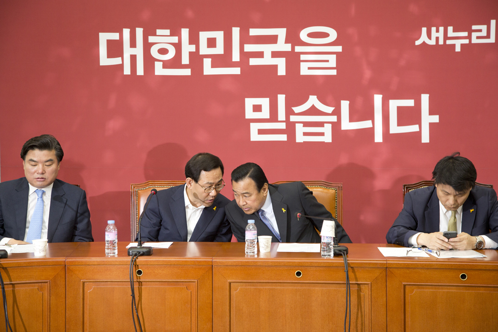 정치/정당/새누리당/비상대책위원회