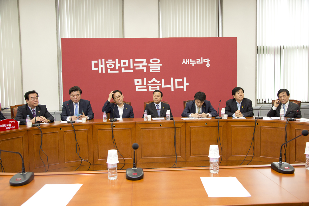 정치/정당/새누리당/비상대책위원회