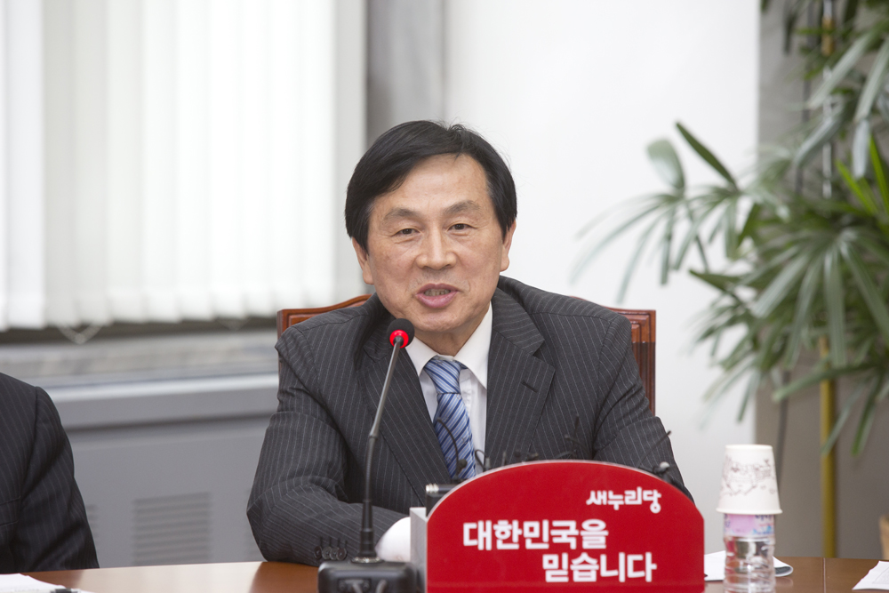 정치/정당/새누리당/비상대책위원회