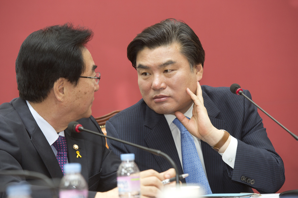 정치/정당/새누리당/비상대책위원회