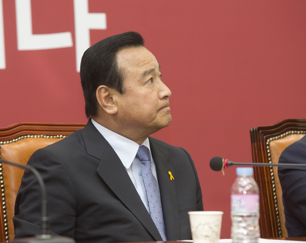 정치/정당/새누리당/비상대책위원회