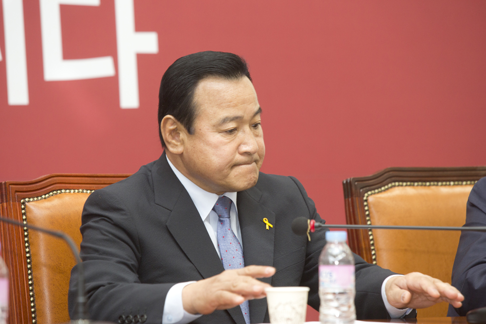 정치/정당/새누리당/비상대책위원회