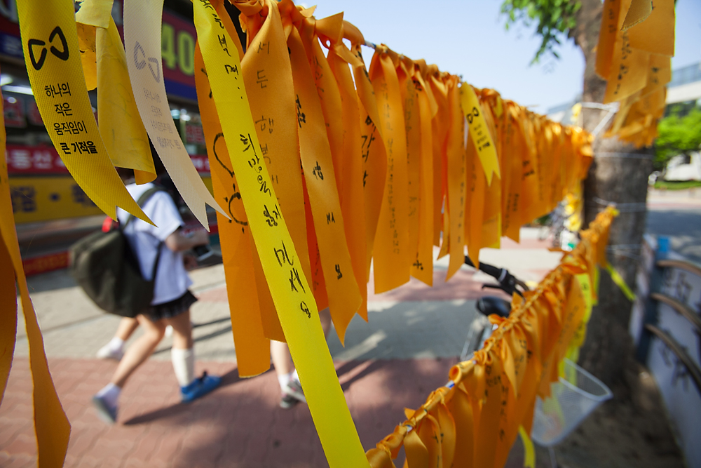 진도여객선침몰/세월호/안산단원고/실종자수색/