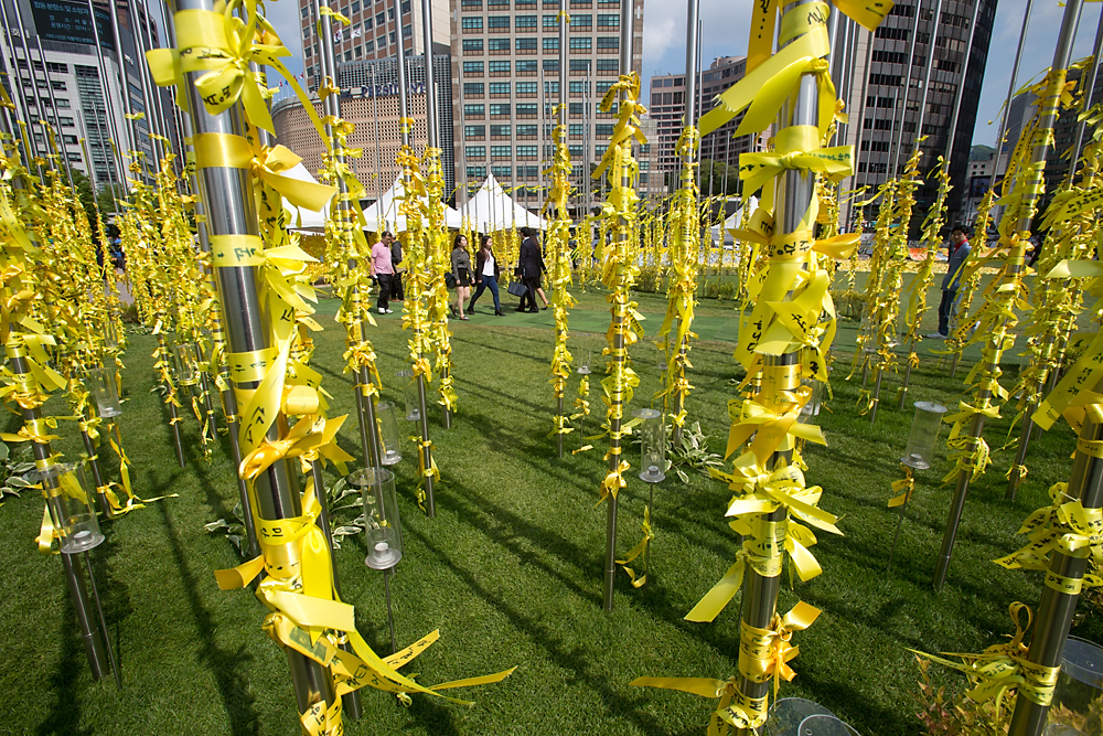 사회/세월호/어버이날/