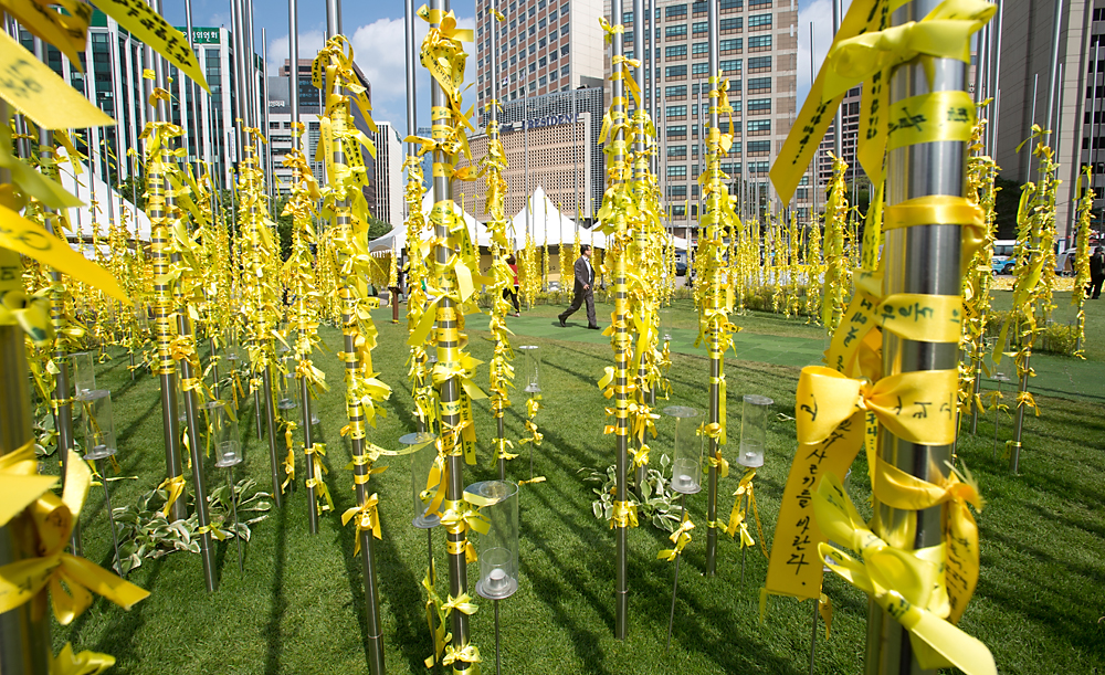 사회/세월호/어버이날/