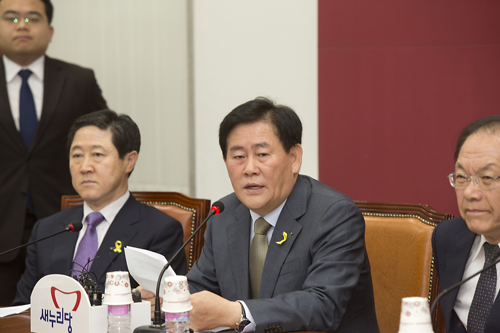 정치/정당/대통령인수위원회/인수위/새누리당/