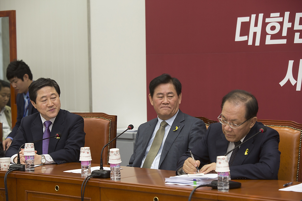 정치/정당/대통령인수위원회/인수위/새누리당/