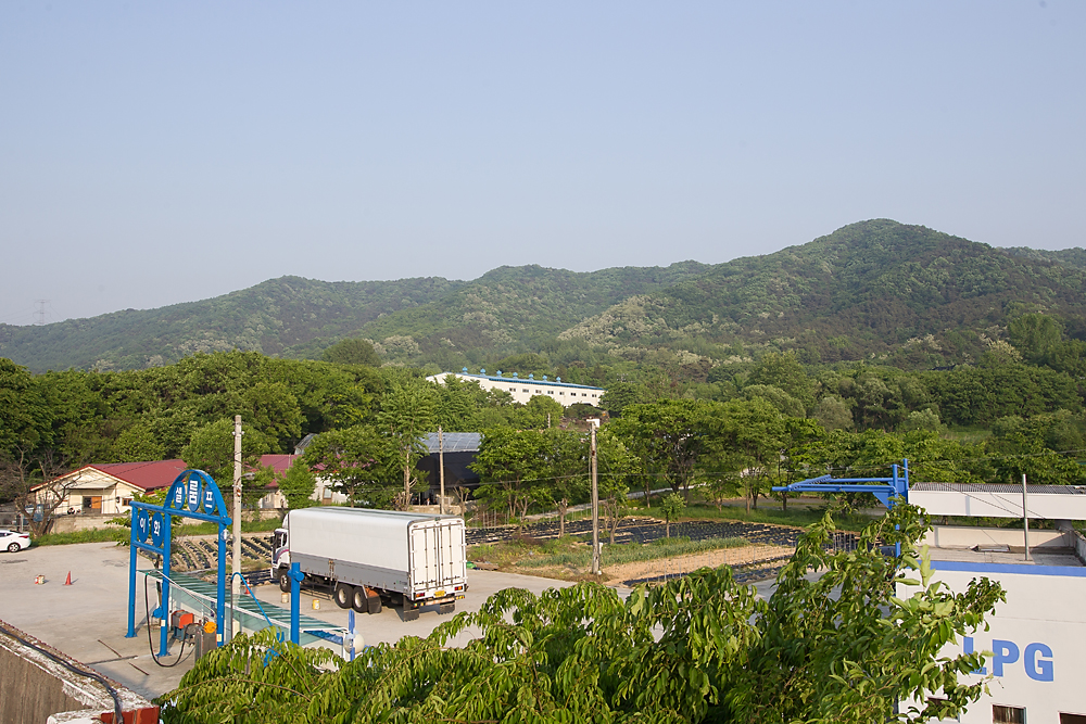 금수원 안성 구원파