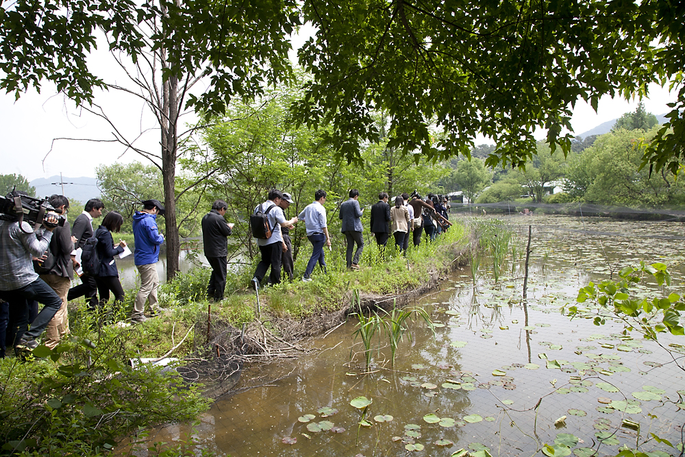 사회/종교/기독침례회/금수원