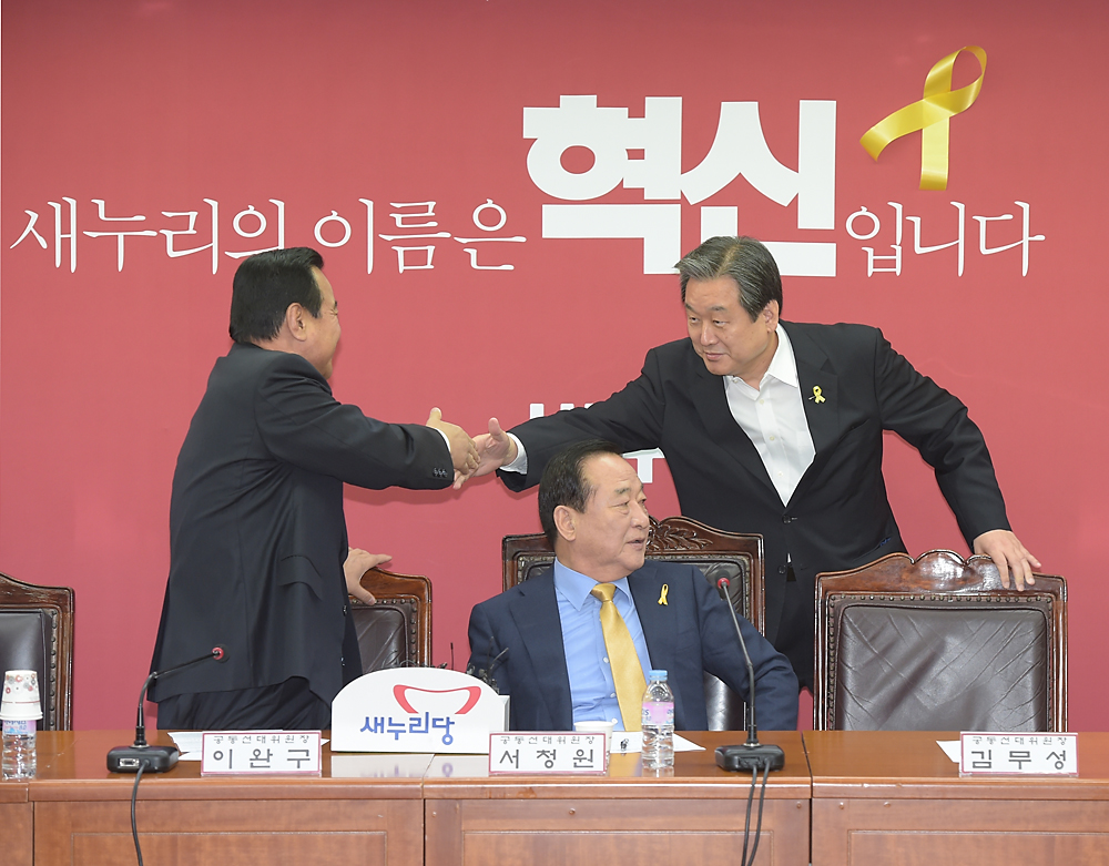 정치/정당/새누리당/중앙선거대책위원회