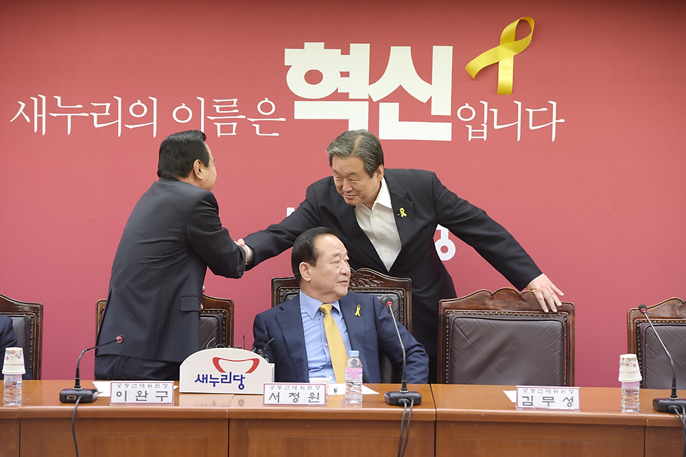 정치/정당/새누리당/중앙선거대책위원회