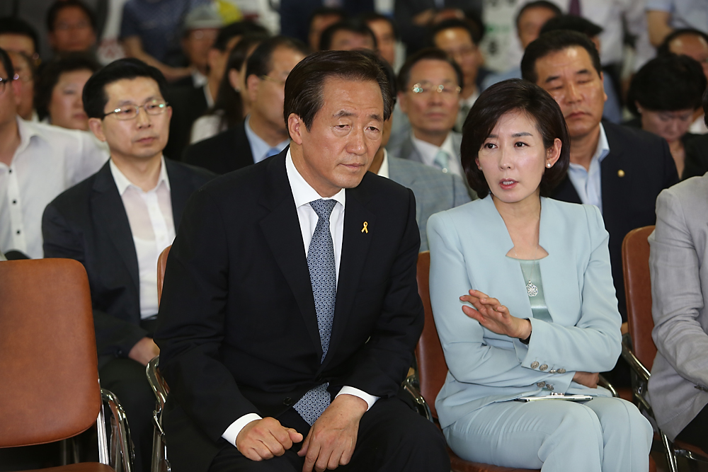 정치/국회/국회의원/정당/새누리당/정몽준/서울