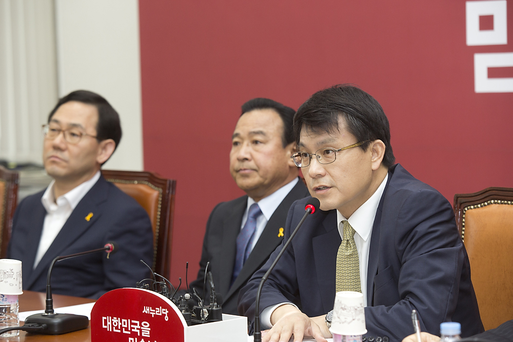 정치/정당/새누리당/비상대책위원회