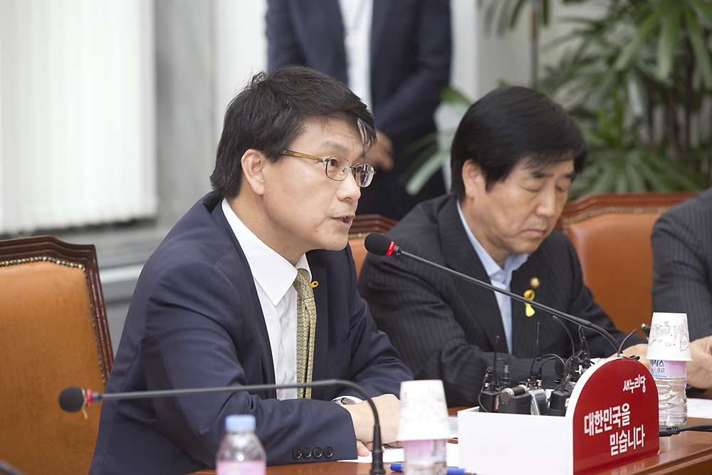 정치/정당/새누리당/비상대책위원회