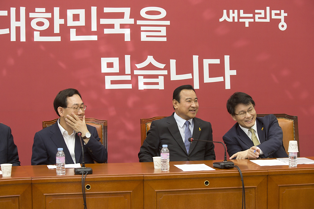 정치/정당/새누리당/비상대책위원회