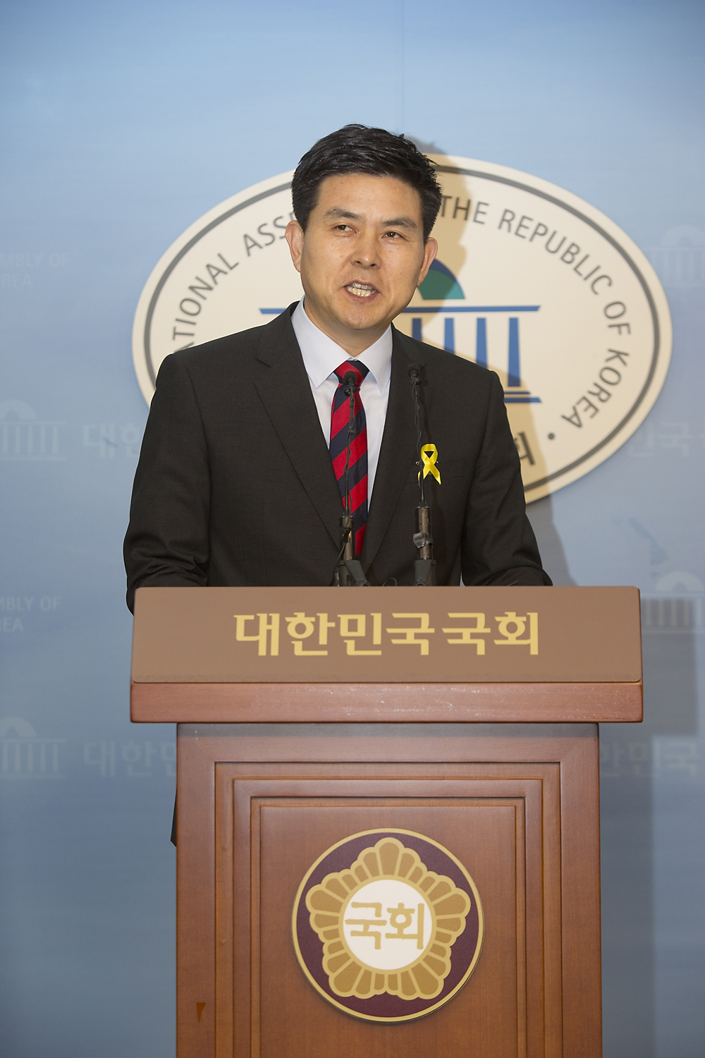 정치/정당/새누리당/전당대회/출마