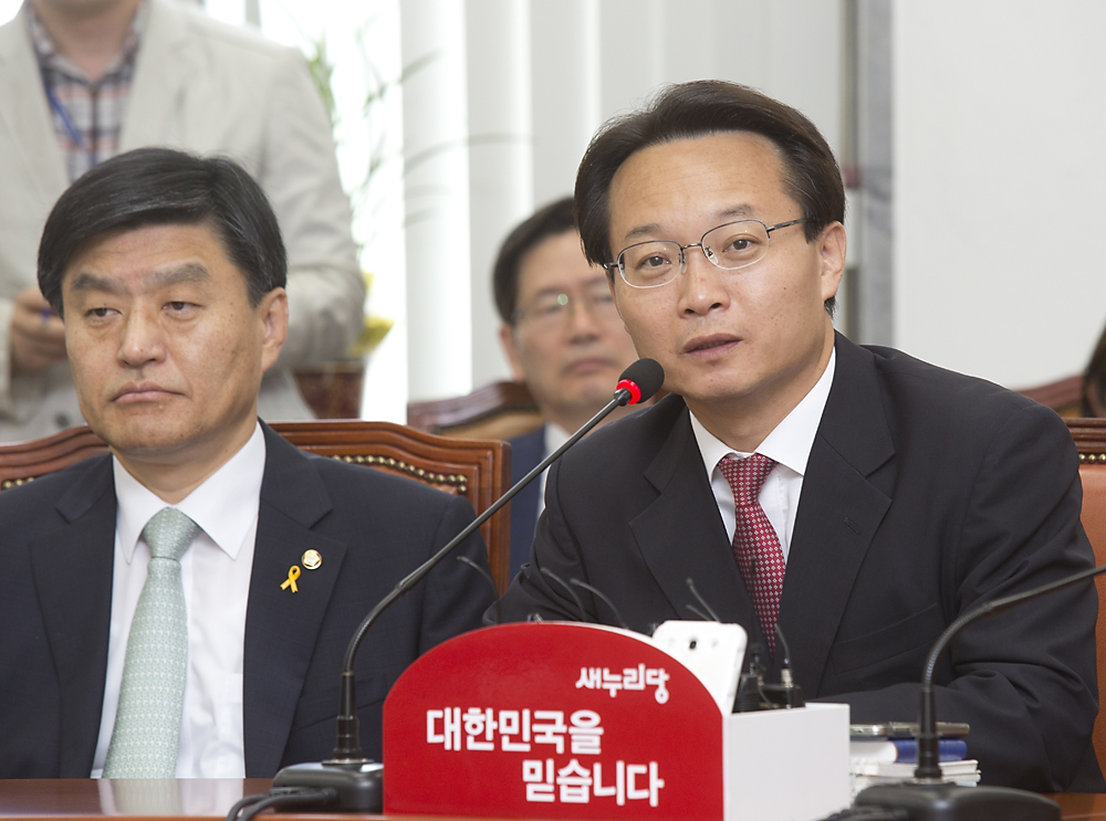 정치/정당/새누리당/비상대책위원회의