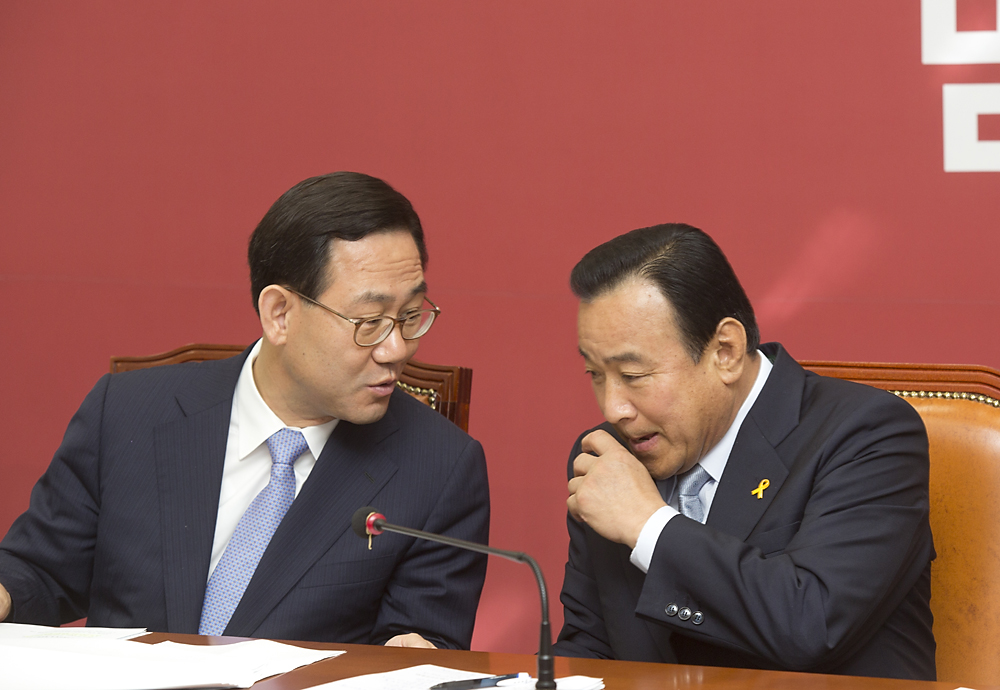 정치/정당/새누리당/비상대책위원회의