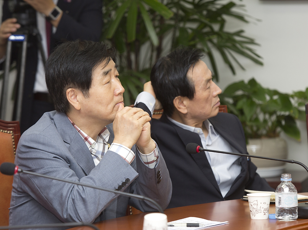 정치/정당/새누리당/비상대책위원회의