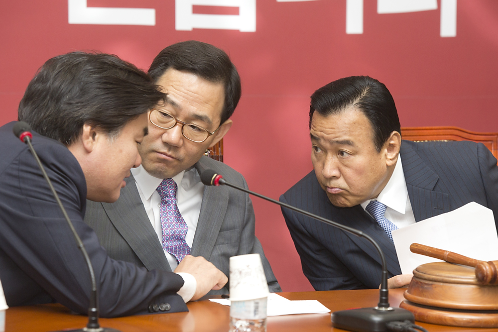 정치/정당/새누리당/비상대책위원회의