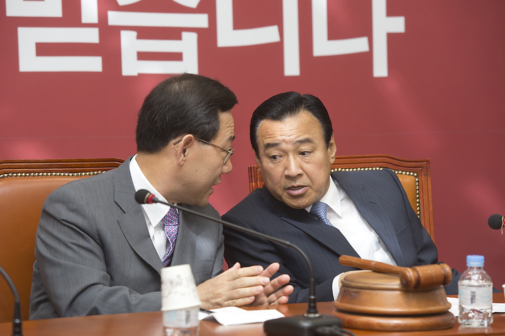 정치/정당/새누리당/비상대책위원회의