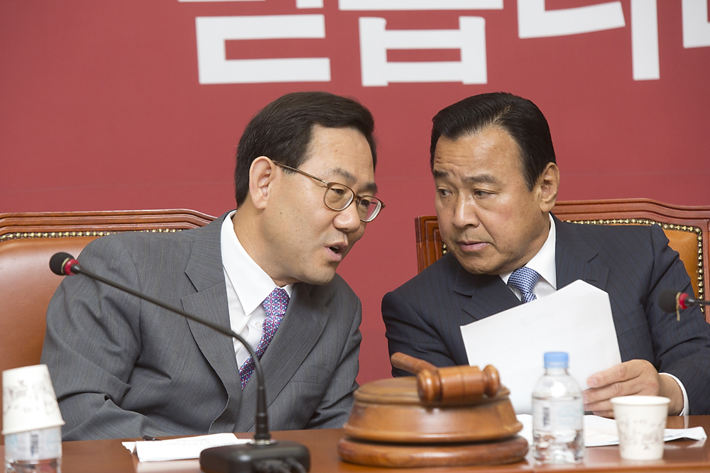 정치/정당/새누리당/비상대책위원회의