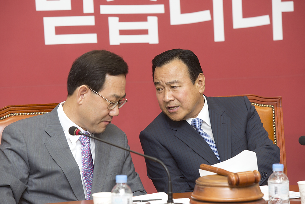 정치/정당/새누리당/비상대책위원회의