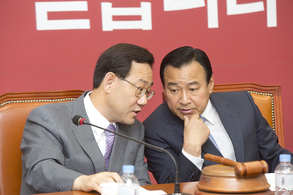 정치/정당/새누리당/비상대책위원회의