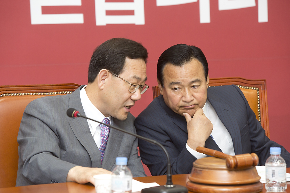 정치/정당/새누리당/비상대책위원회의