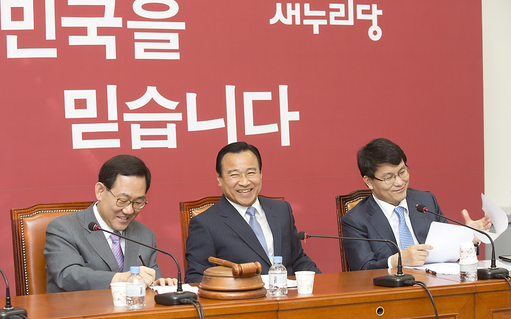 정치/정당/새누리당/비상대책위원회의