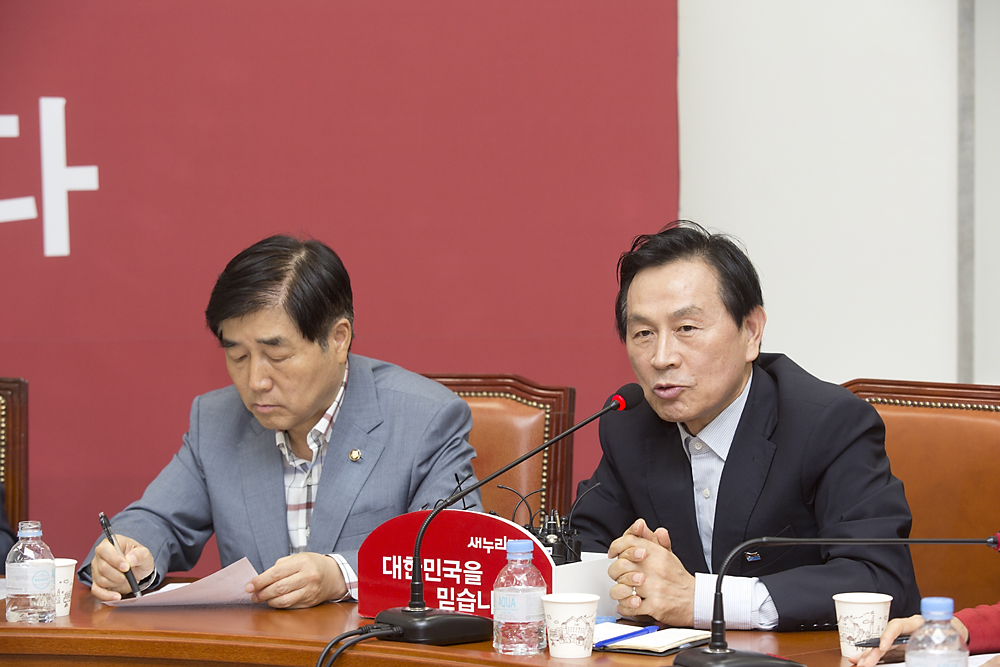 정치/정당/새누리당/비상대책위원회의