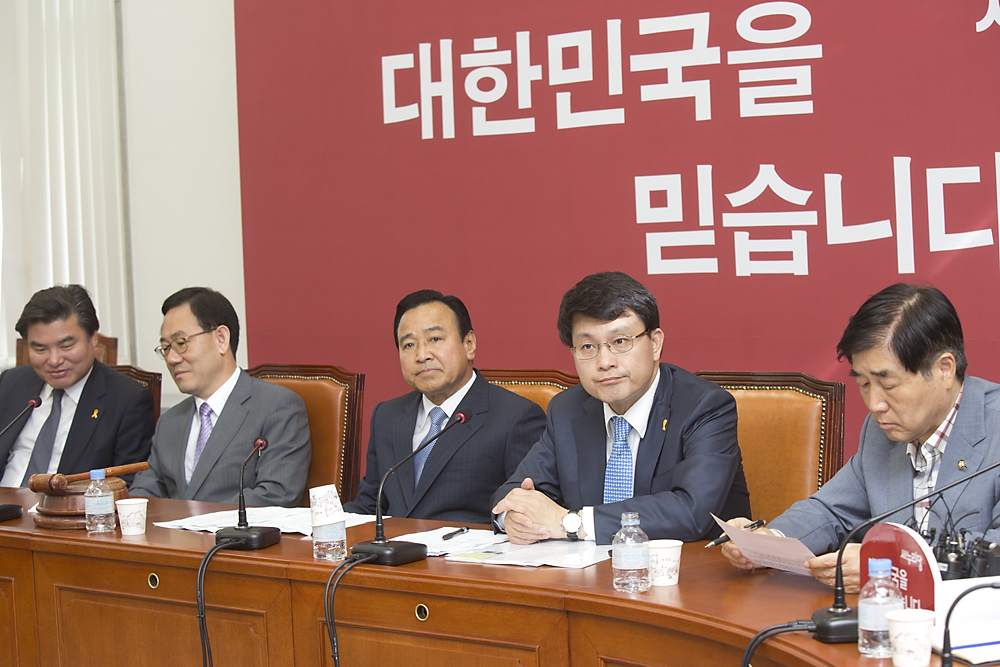 정치/정당/새누리당/비상대책위원회의
