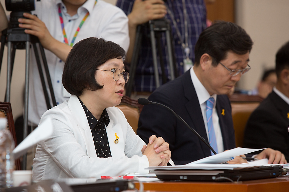 정치/국회/세월호/국정조사/국조특위/