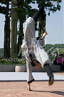 oriental martial arts/Korea Traditional Performing Arts fastival