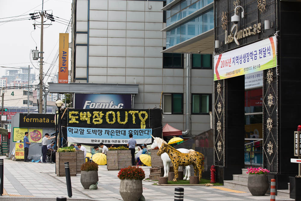 사회/이슈/도막/경마/화상경마/용산화상경마장/