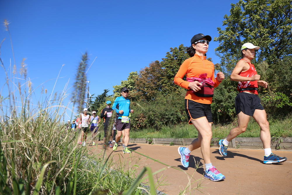 스포츠/행사/마라톤/달리기/이봉주/이봉주마라