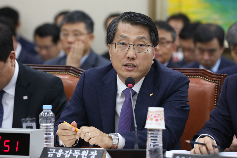정치;국정감사;정무위원회;금융감독원;진웅섭
