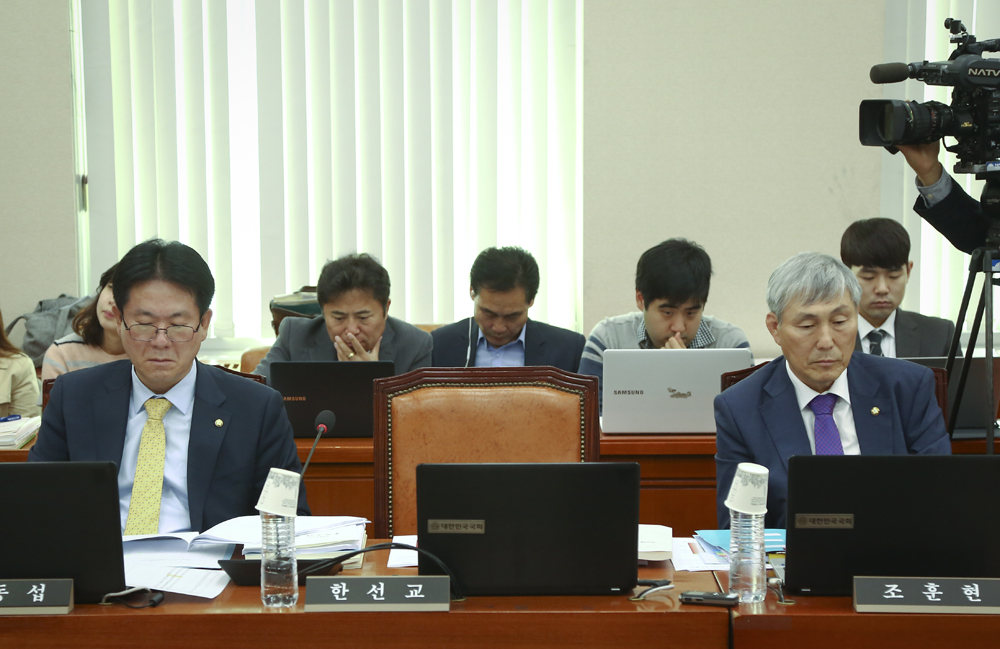 정치;국정감사;교육문화체육관광위원회