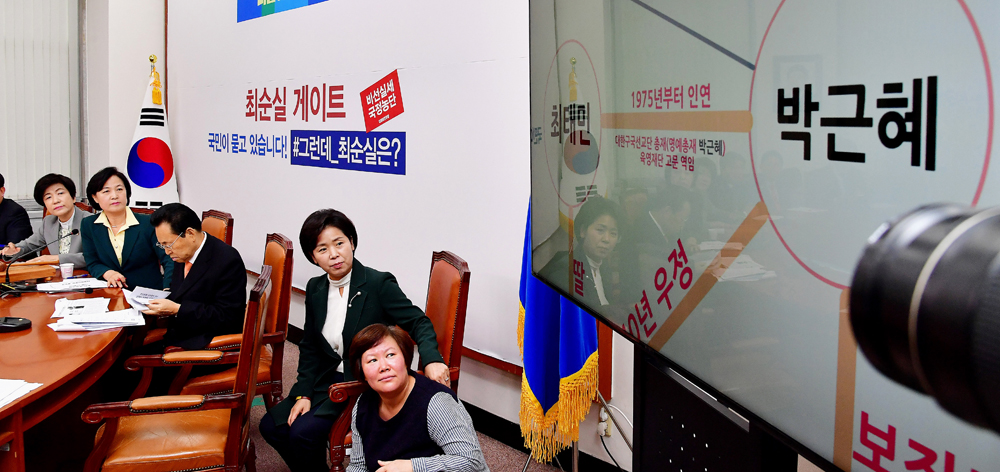 정치;국회;더불어민주당;최순실게이트